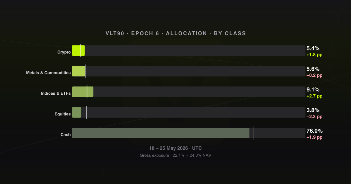 Allocation by asset class, epoch 6